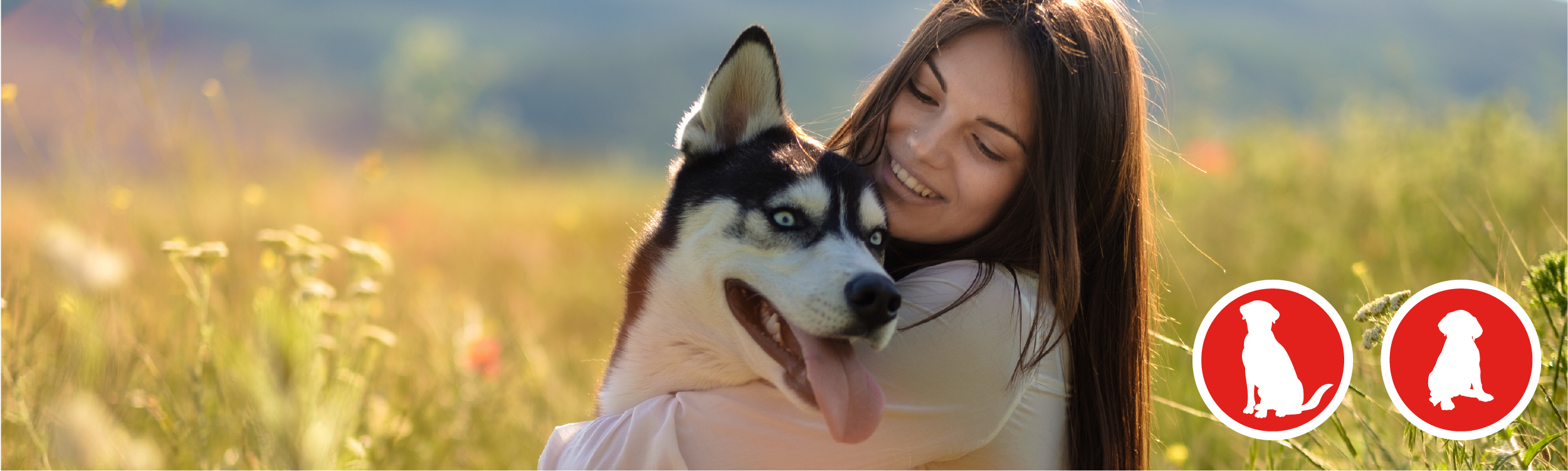 Juguete para perro pato (colores surtidos) – Tierragro