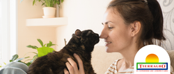 Consejos para comprender el lenguaje de los gatos