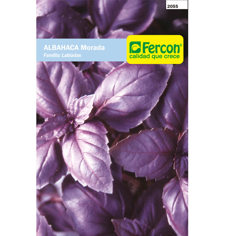 Albahaca Morada Opalo Sobre 0.5 gr