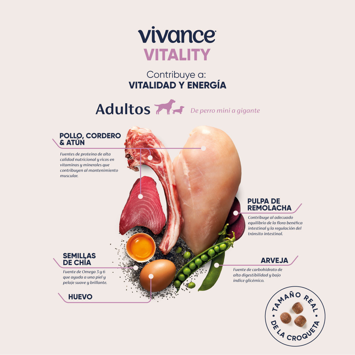 Vivance Vitality Adultos