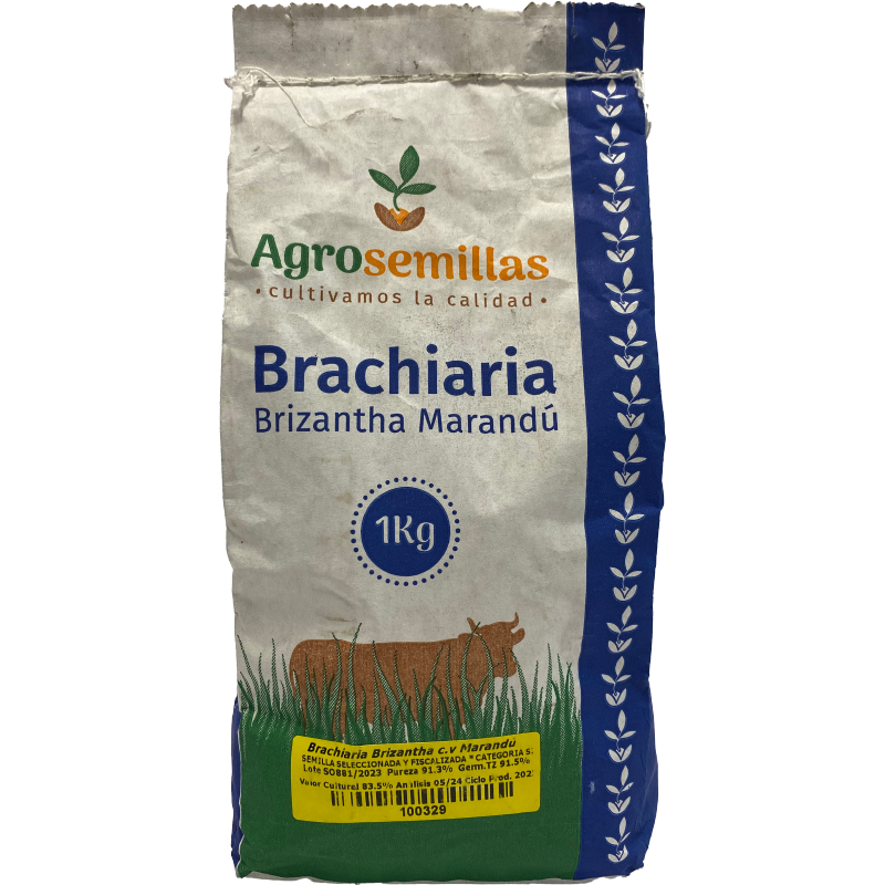 Semilla De Pasto Brizantha Marandu x 1 Kg