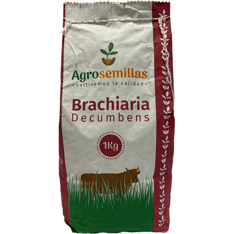 Semilla De Pasto Brachiara Decumbens x 1 Kg