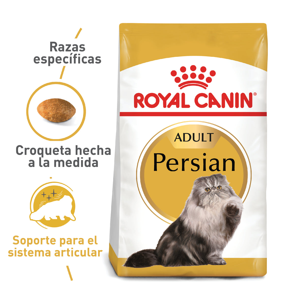 Royal Canin Persian Adulto 2Kg