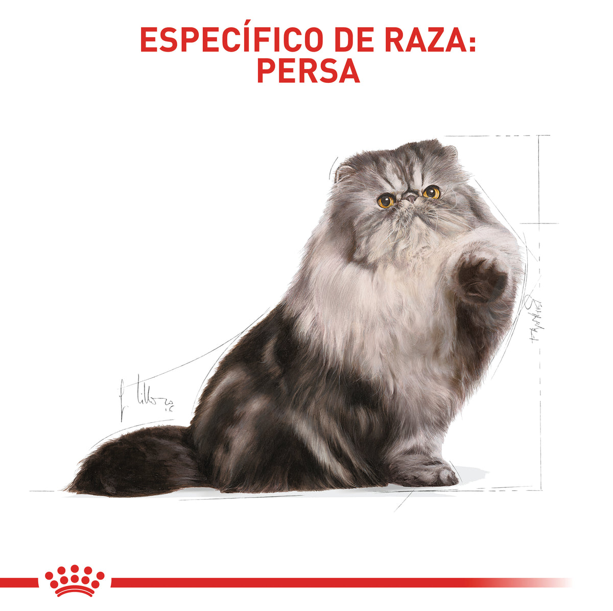 Royal Canin Persian Adulto 2Kg