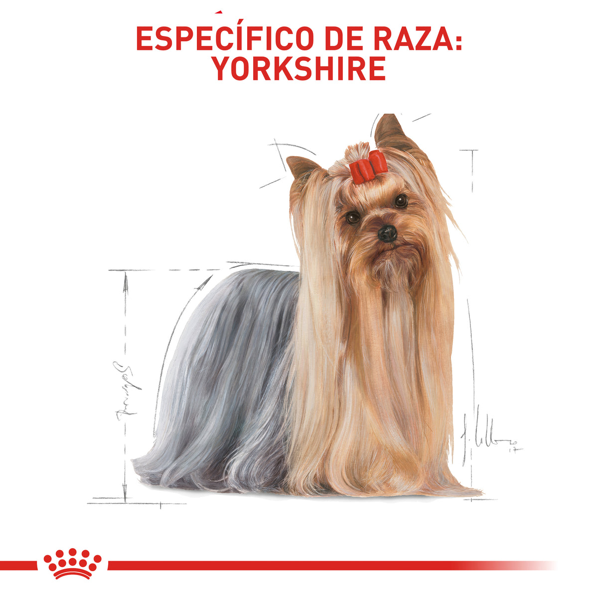 Royal Canin Yorkshire Terrier 4,54Kg