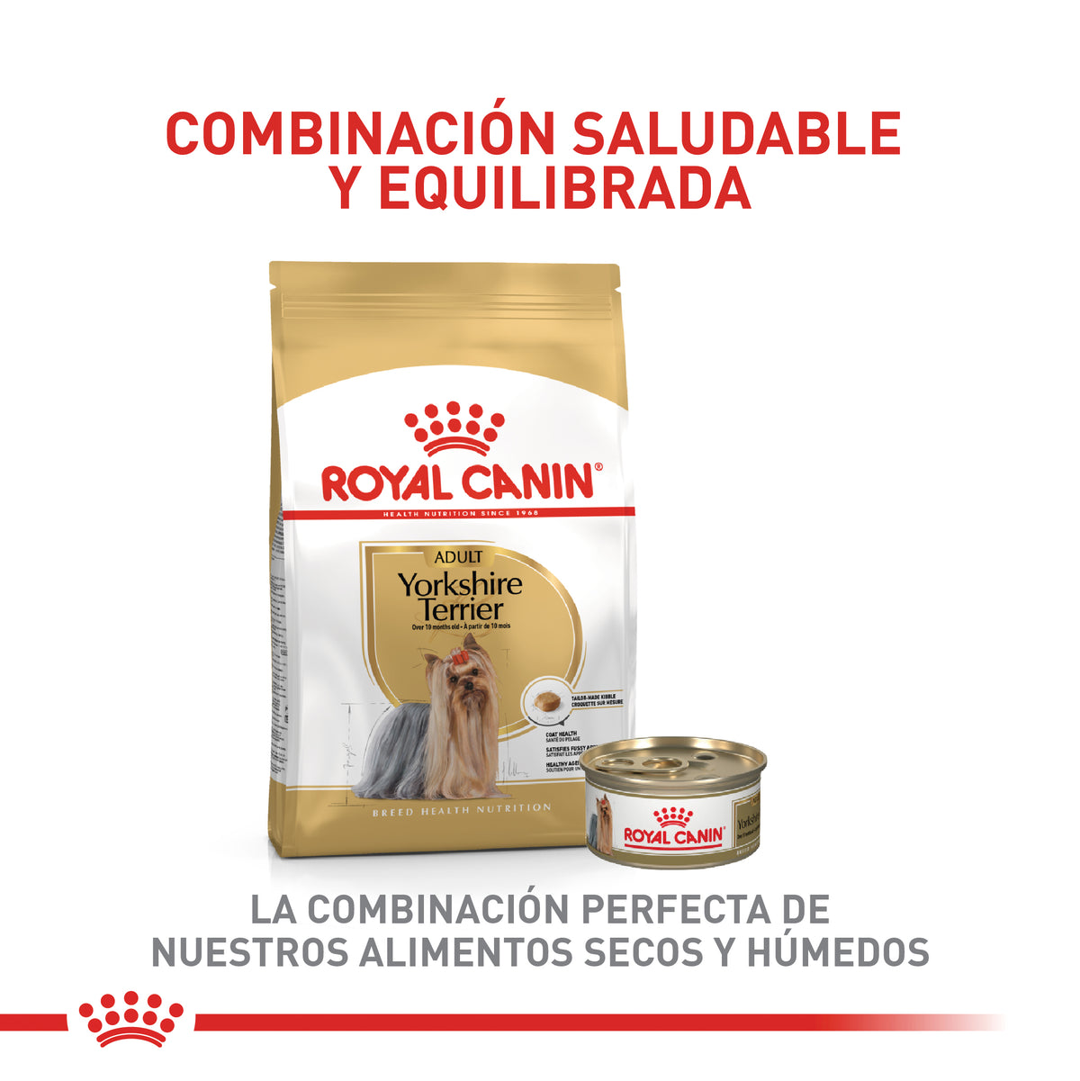 Royal Canin Yorkshire Terrier 4,54Kg