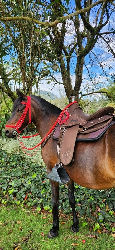 Silla Camelladora Vaquería Mesace