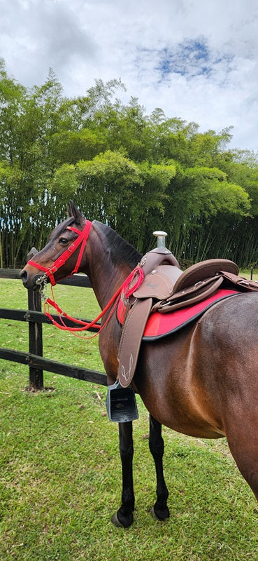 Silla Sabanera Vaquería Mesace