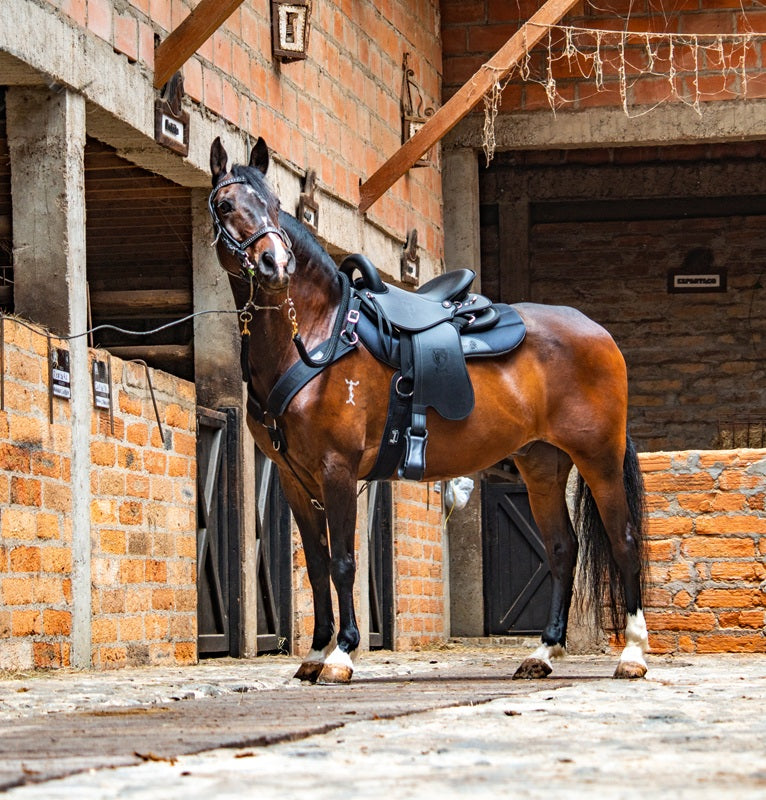 Tereque Tronador Cabalgata Mesace