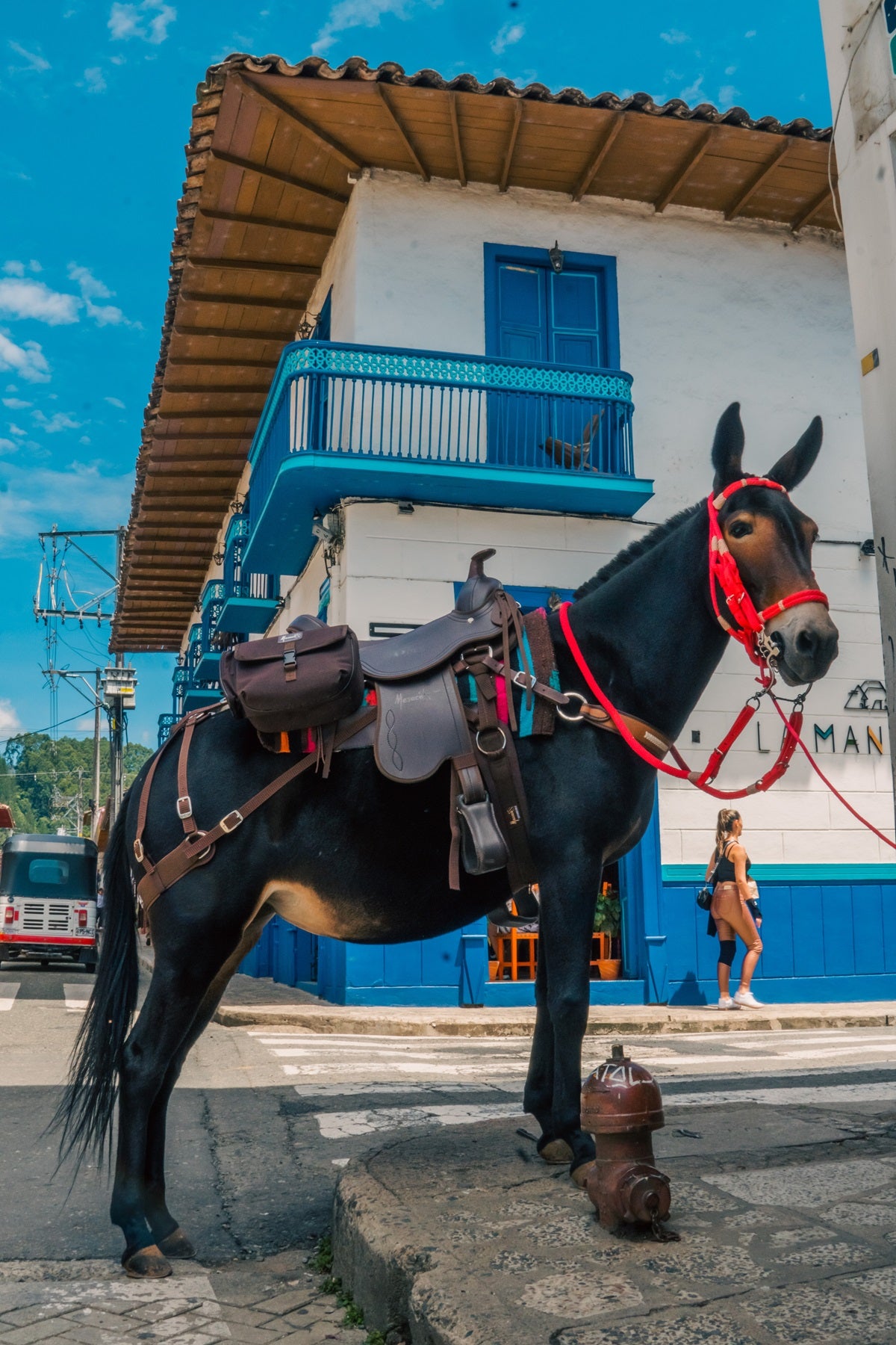 Silla para Mule Cabalgata Mesace