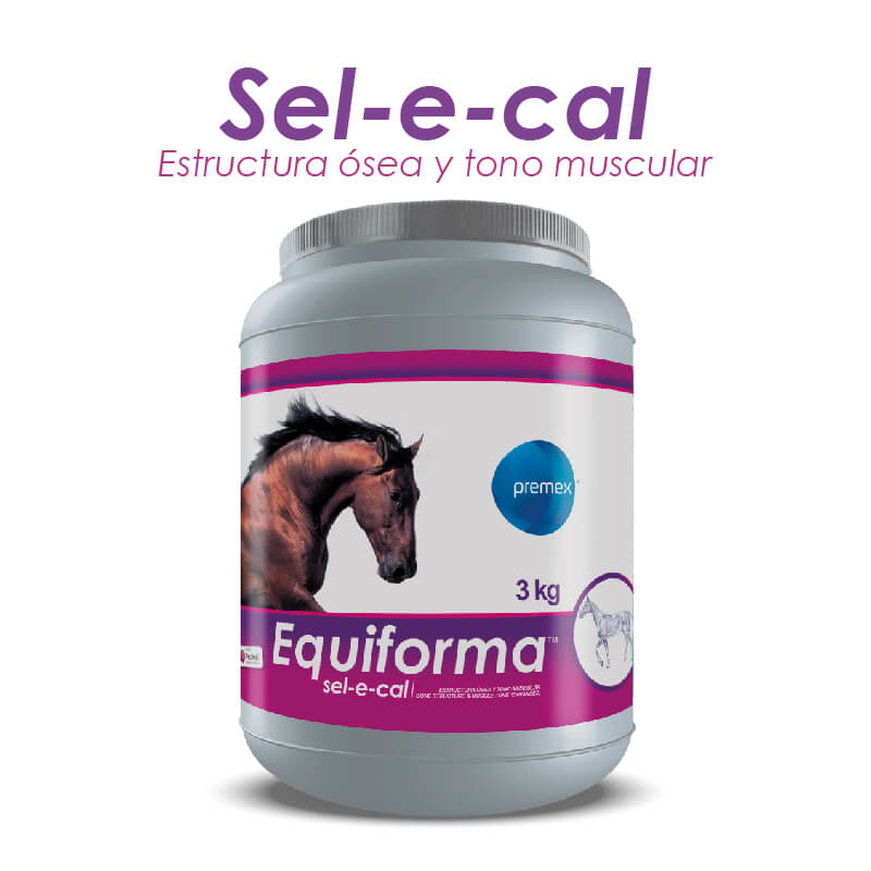 Equiforma Sel-E-Cal x 3 Kg