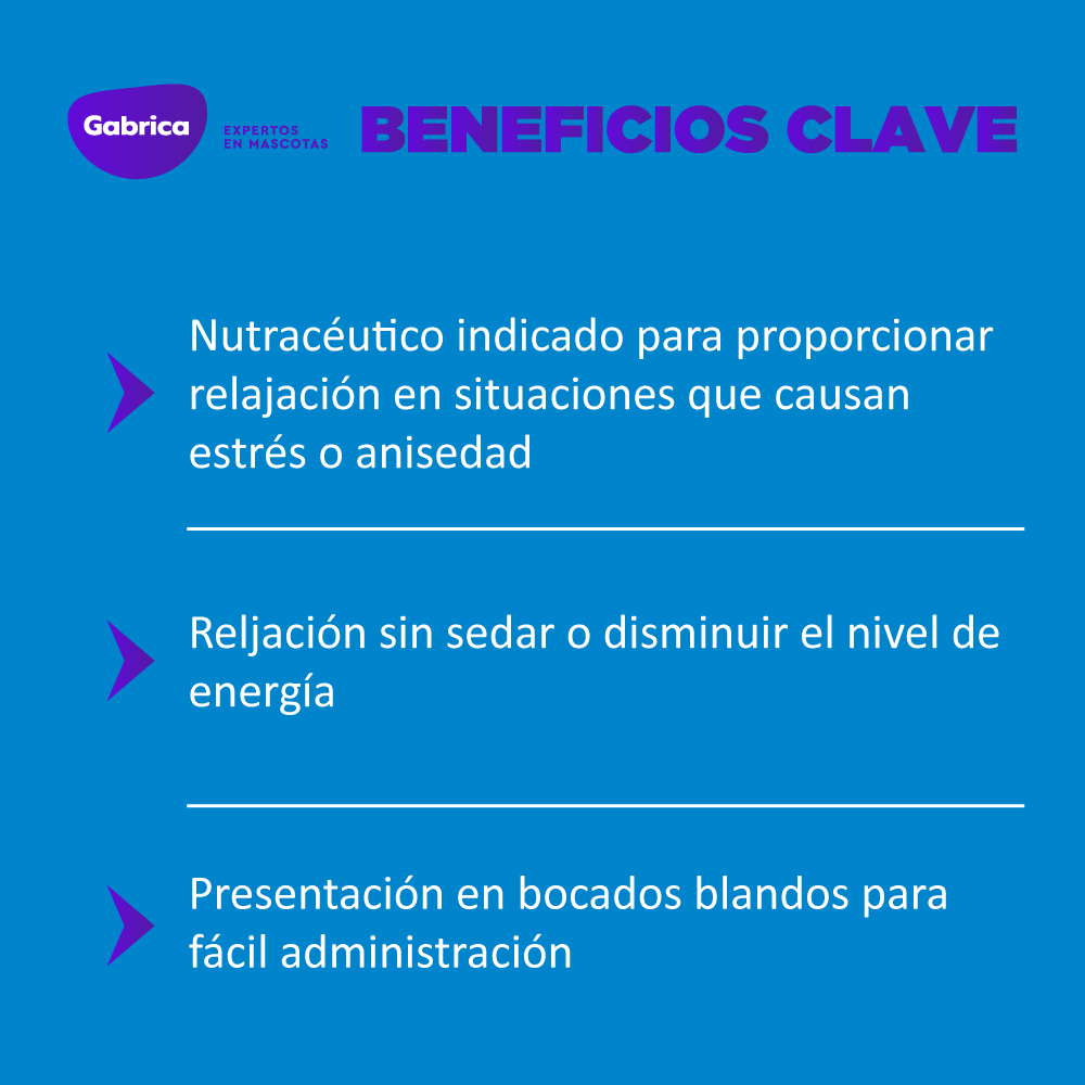 Nutracéutico Calmiforz 60 Tabletas