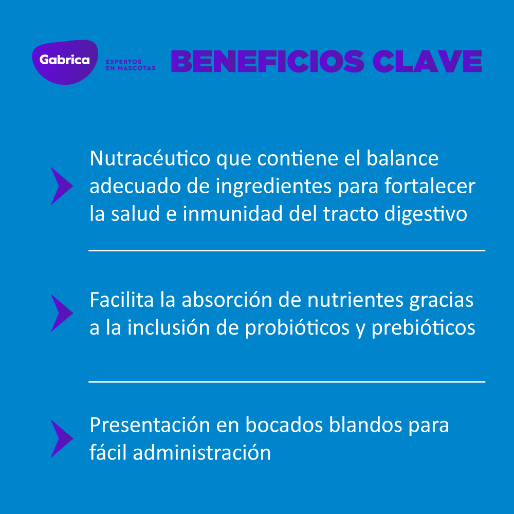 Nutracéutico Digestforz Para Perro Y Gato 30 Tableta