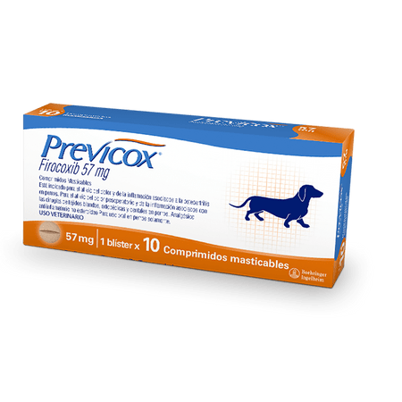 Previcox Dog