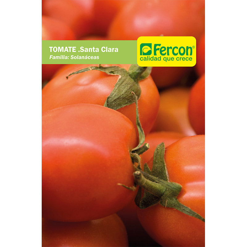 Tomate Chonto Sta. Clara x1 gr