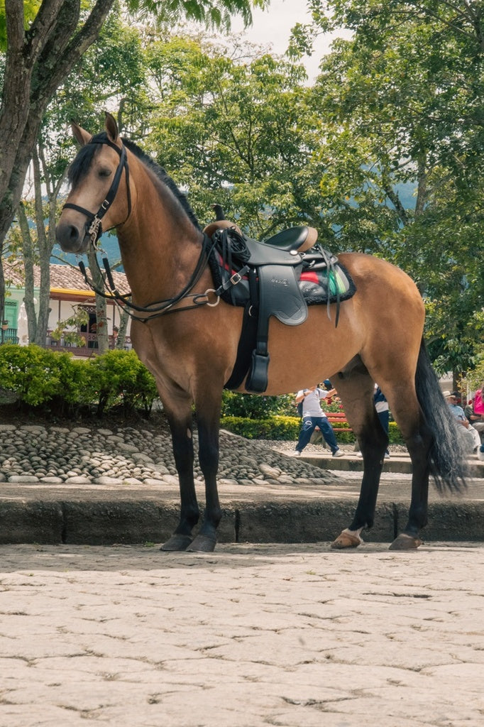 Silla Indiana Cabalgata Mesace