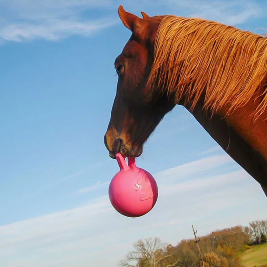 Jolly Ball Caballos Manzana Colgante