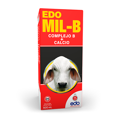 Edo Mil B