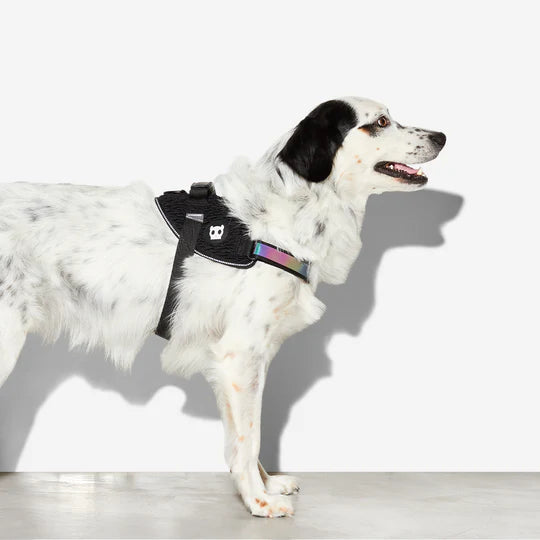 Arnes para Perro Pequeño Gotham Flyharness