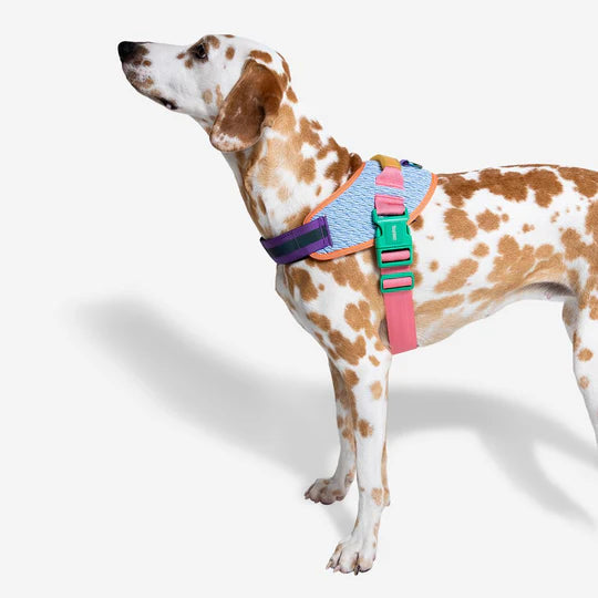 Arnes para Perro Mediano Galaxy Flyharness