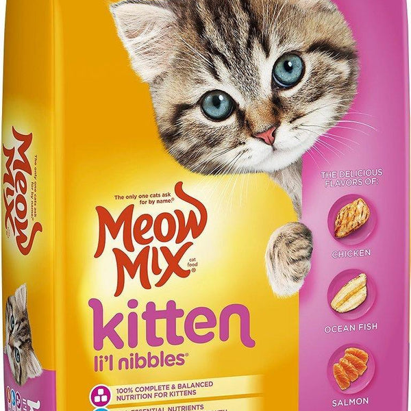 Meow 2024 mix kitten