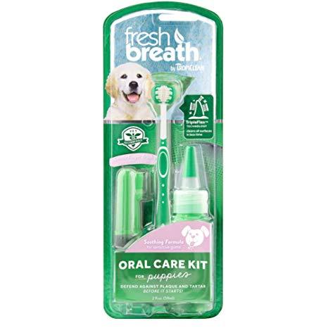 Fresh Breath Kit Cuidado Oral cachorro|Tropiclean