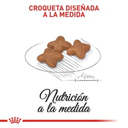 Mini Adulto2Kg - Royal Canin