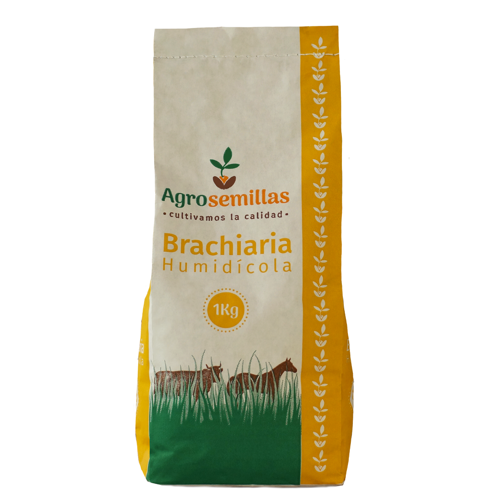 Semilla de pasto Brachiaria dictyoneura x 1 kg|Agrosemillas