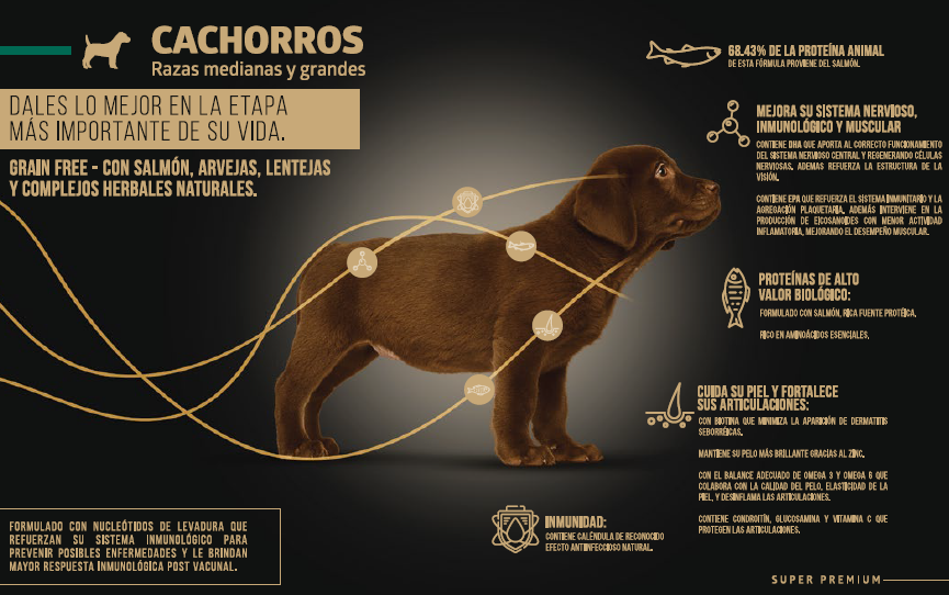 Wellness form grain free cachorros razas medianas y grandes|WELLNESS