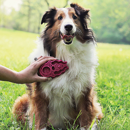 Cepillo Kong Zoom Groom Para Perros