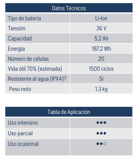 Batería BLI200 - Maquinaria - Baterías - Tierragro Colombia (5984406995094)