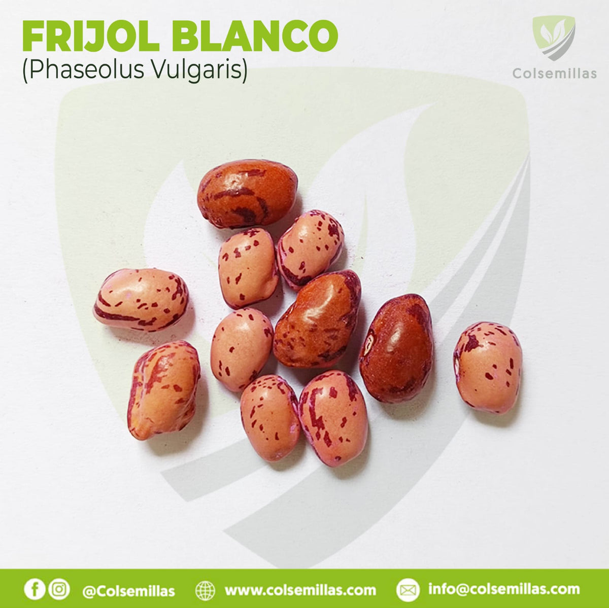 Frijol Cargamanto Blanco x 1 Kg