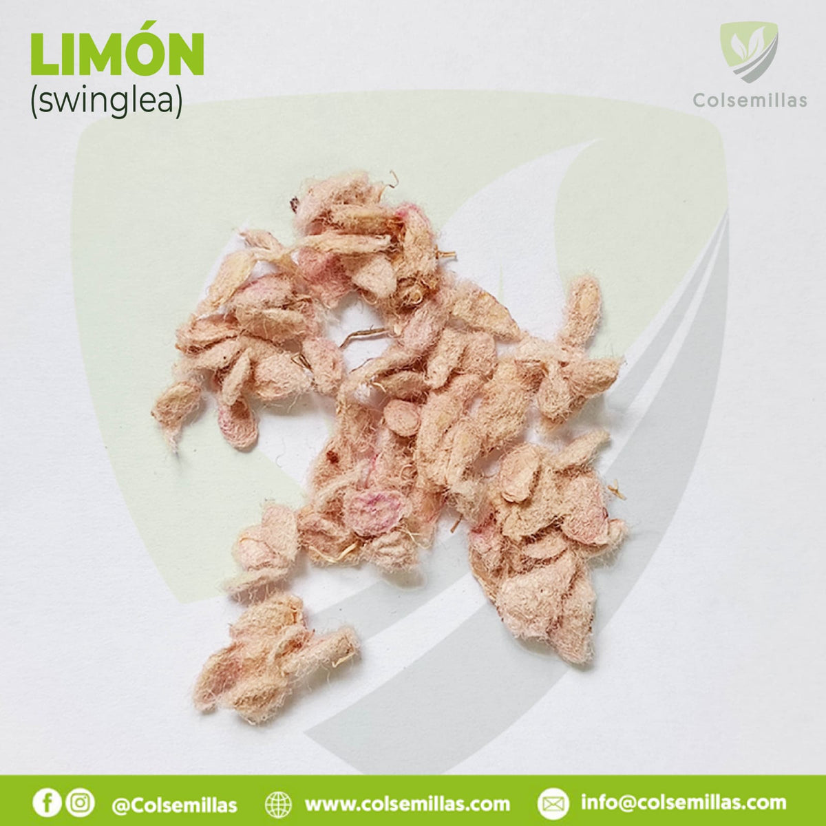 Limon Ornametal Swinglea x 20Gr