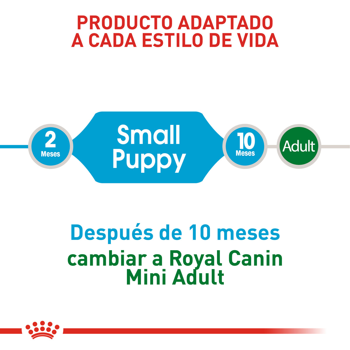 Mini Puppy- Cachorro Razas Pequeñas Royal Canin