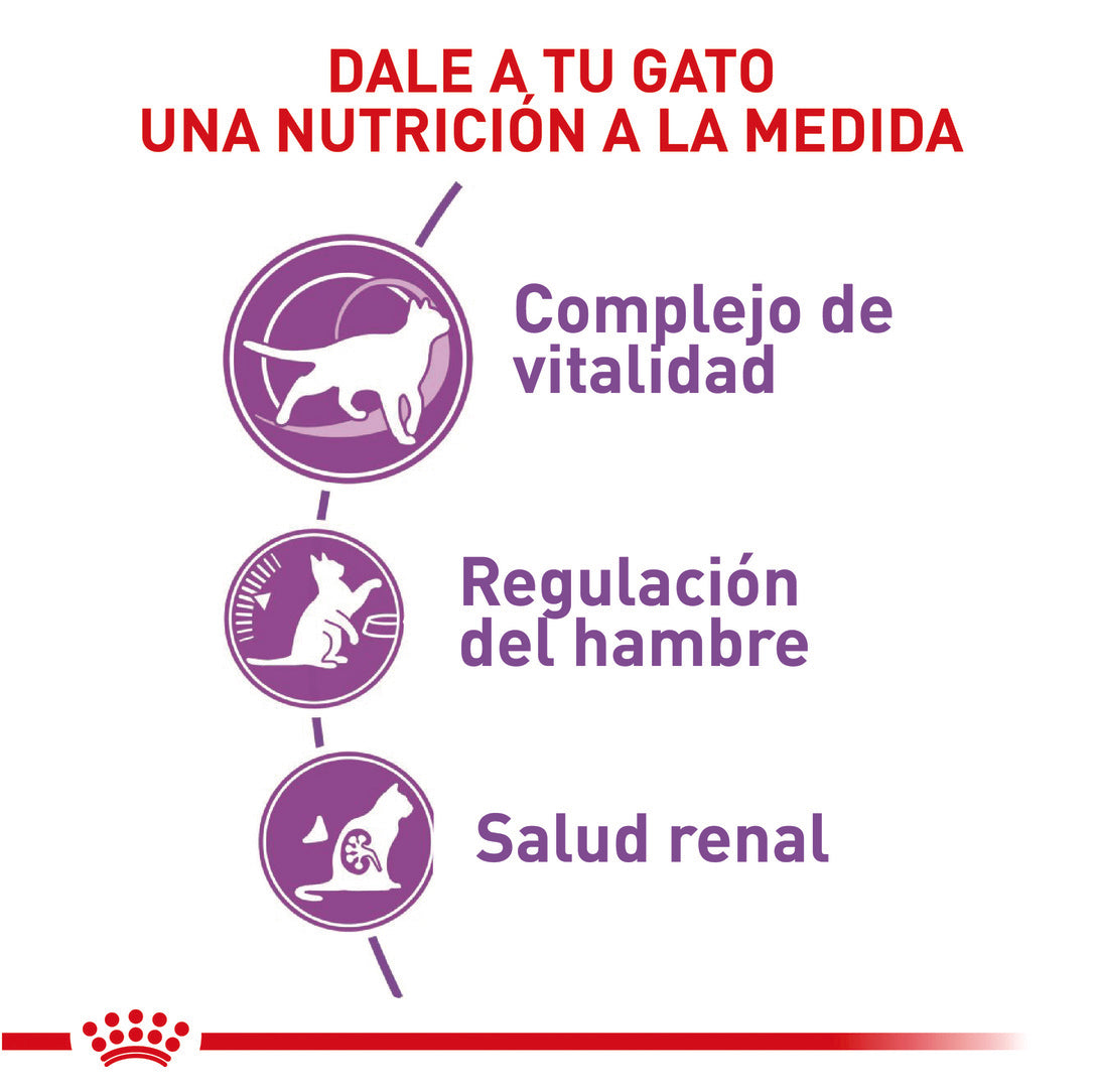 Gato Esterilizado 7+| Regular Sterilised 7+ | Royal Canin 1.5 Kg