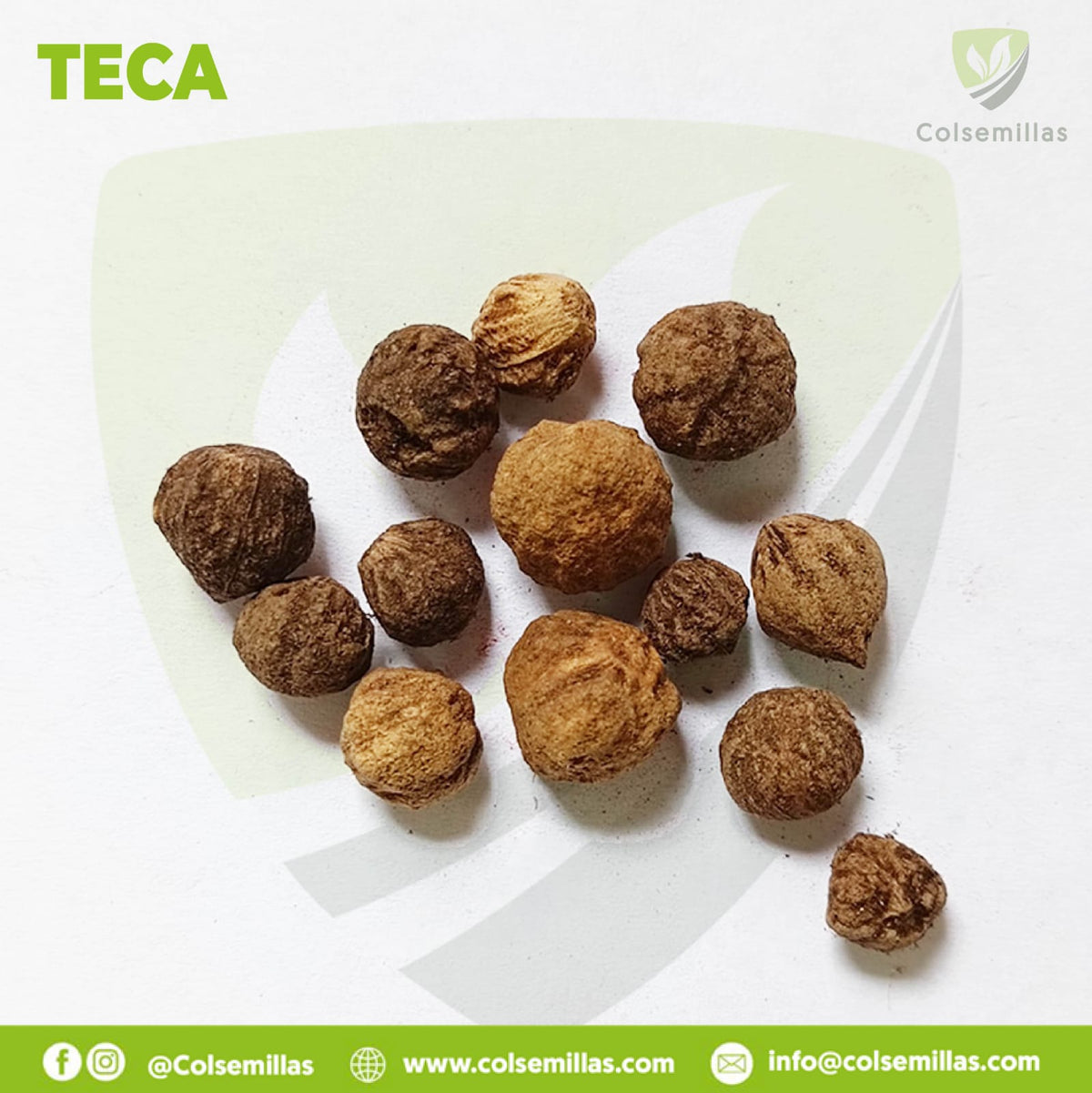 Teca x 20 Gr