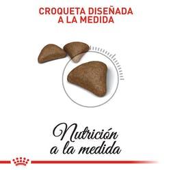 Hairball Care- Cuidado Bola De Pelo 2,72 Kg - Royal Canin