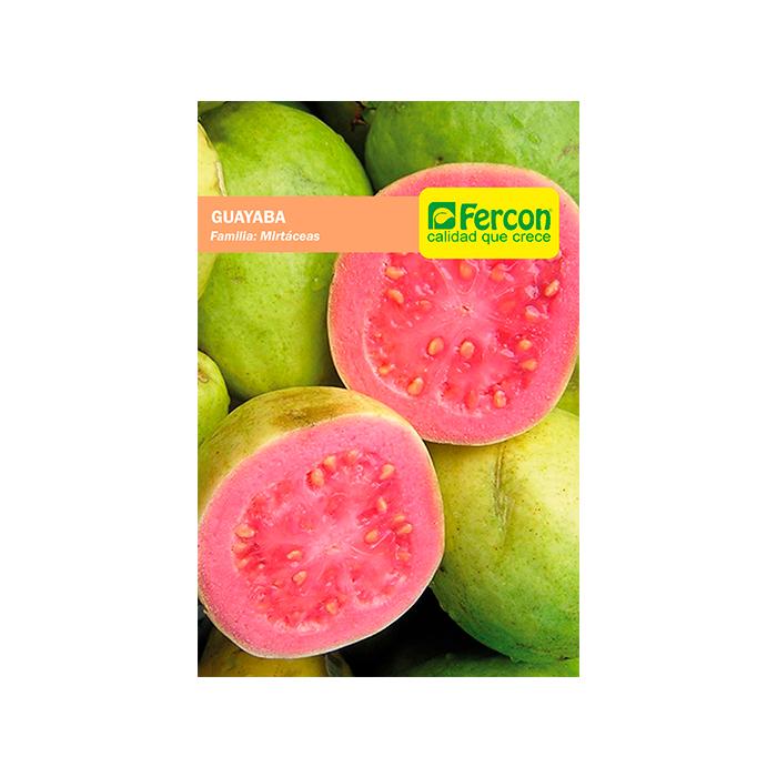 Semilla de Guayaba roja x 2 gr|Fercon