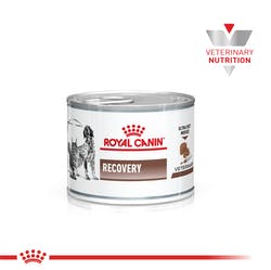 Recovery Lata165GrRoyal Canin